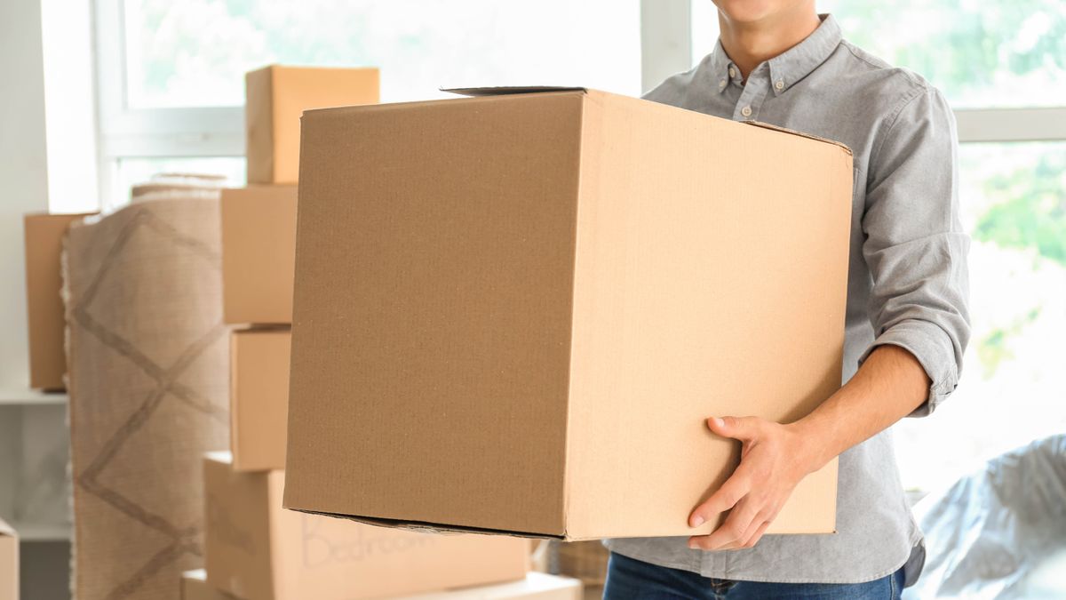 things you should never store in a cardboard box