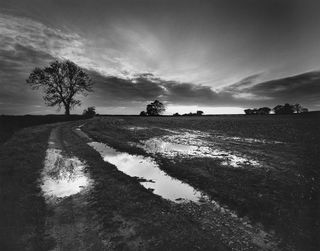 A flooded field near my home, Somerset, England, 2021