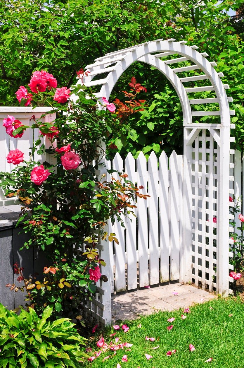 White Garden Arbor