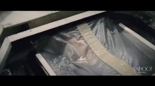 Cryo Bag