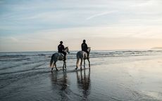 Will uses the nearby beach to give his horses a change of scenery and help them stay fresh