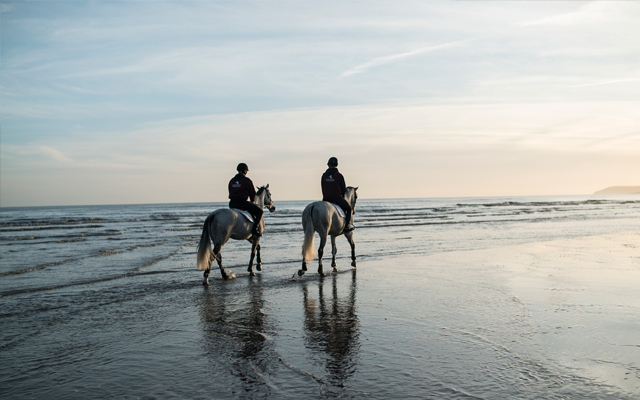 Will uses the nearby beach to give his horses a change of scenery and help them stay fresh