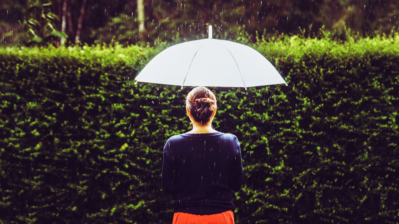 People in nature, Umbrella, Green, Grass, Red, Light, Water, Leaf, Sunlight, Rain, 