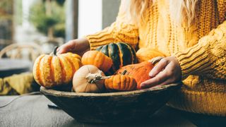 Woman holding decorative orange pumpkins for autumn decorations. Fall festive picture.