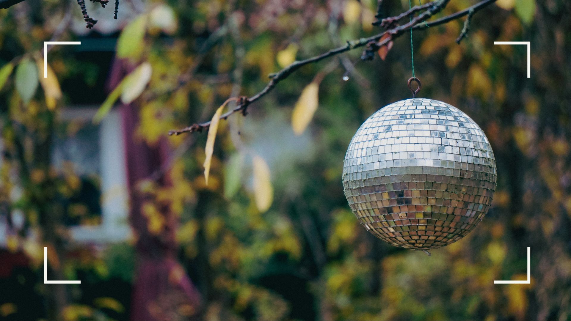 picture of disco ball hanging from tree in garden