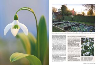 Spreads from Country Life 26 February 2025