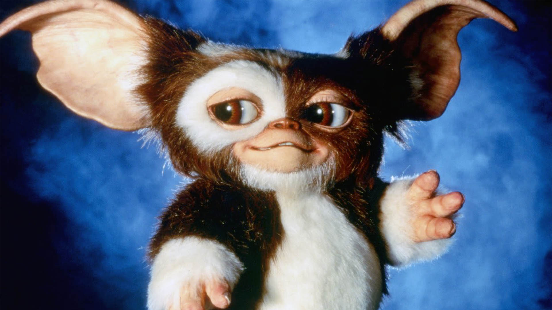 Gizmo puppet from Gremlins.