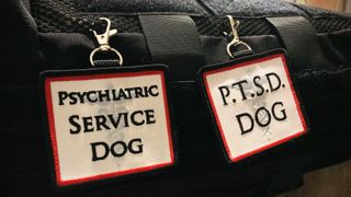 Vest with labels for Psychiatric Service Dog