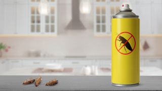 A can of insecticide next to dead cockroaches