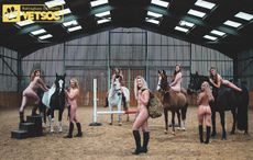 naked-horse-2-VT1.jpg