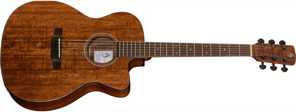 Harley Benton Exotic Wood Custom