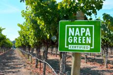 image of vineyards with Napa Green certified sign