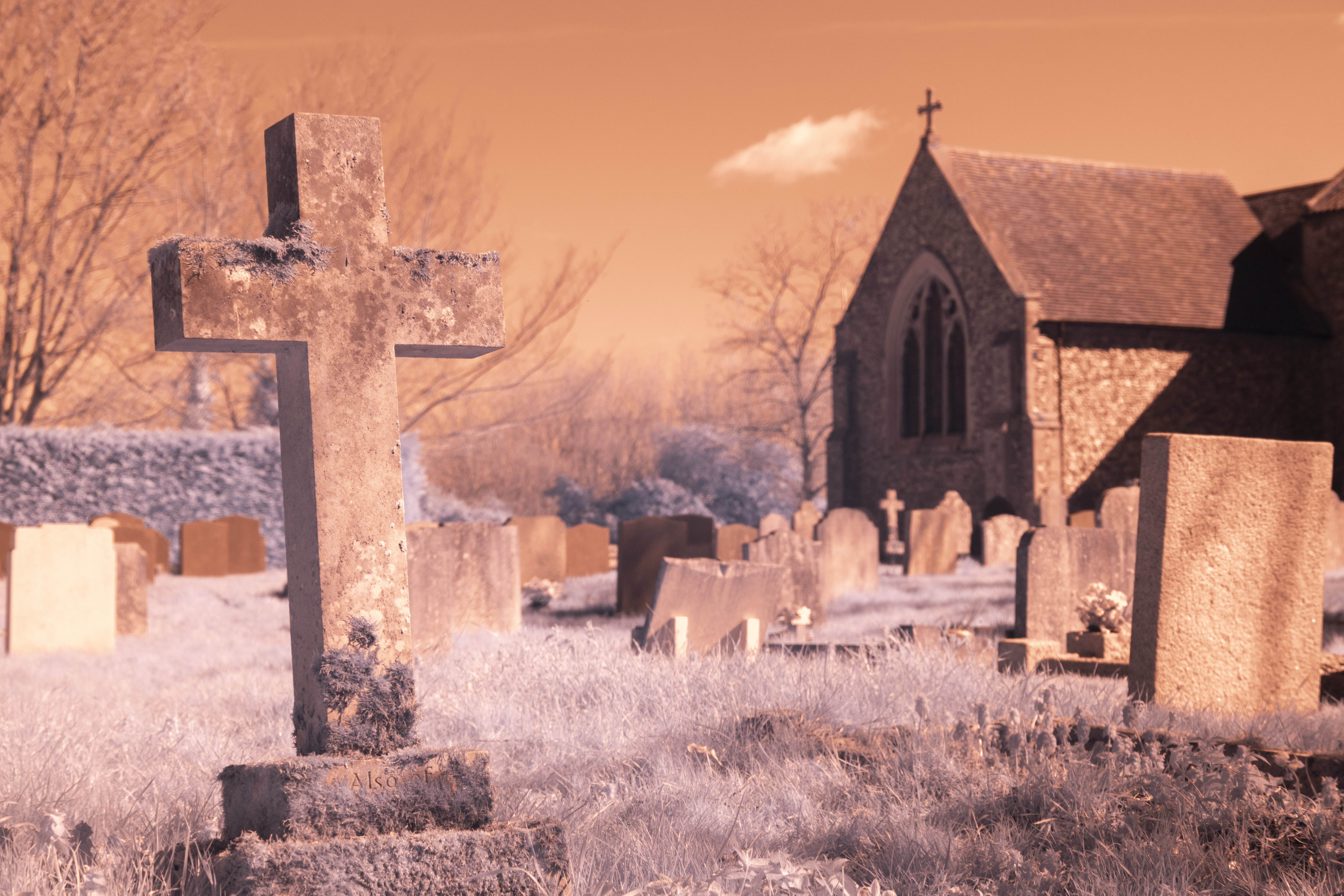 Fotga Variable IR Filter Test Shots