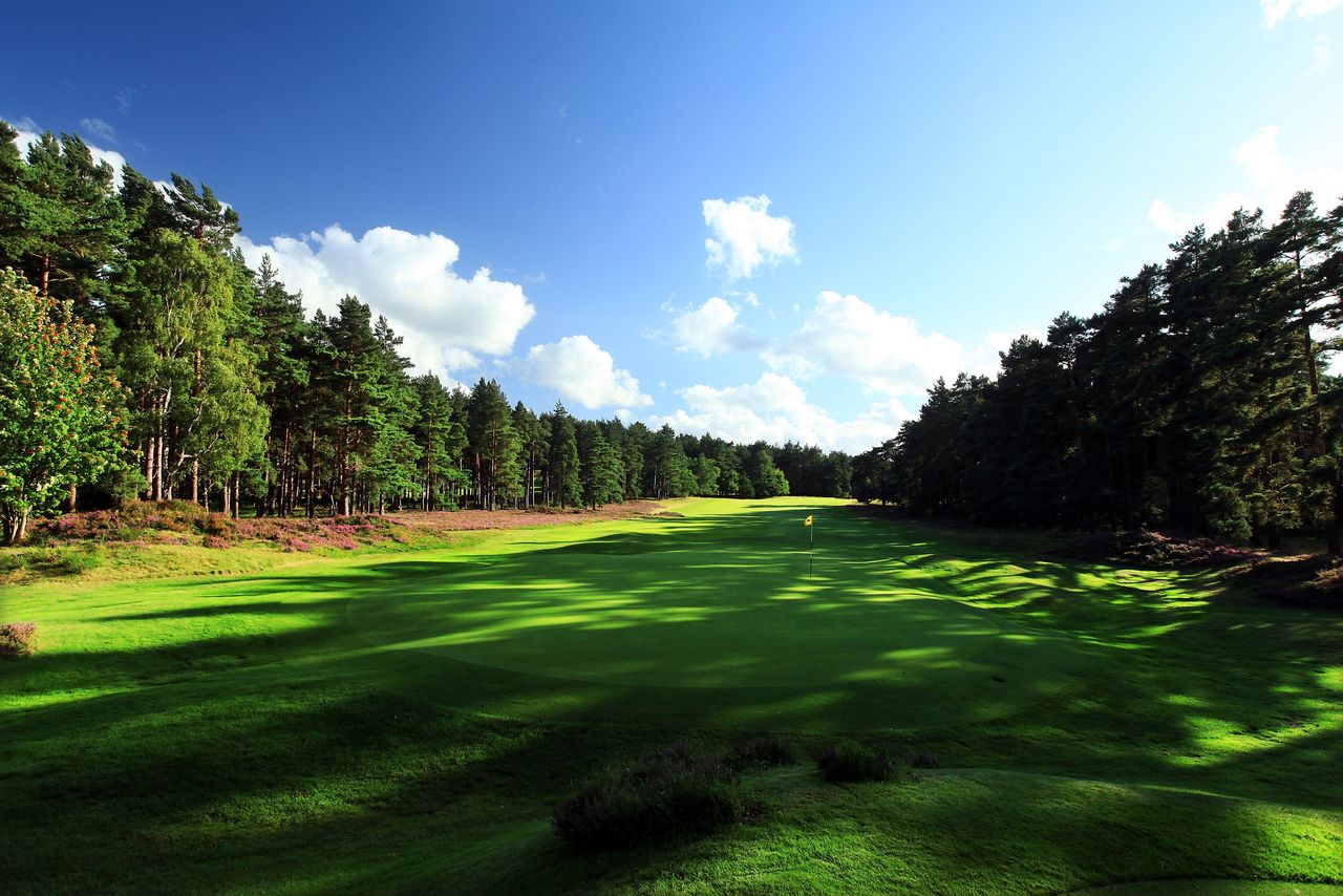 Sunningdale New