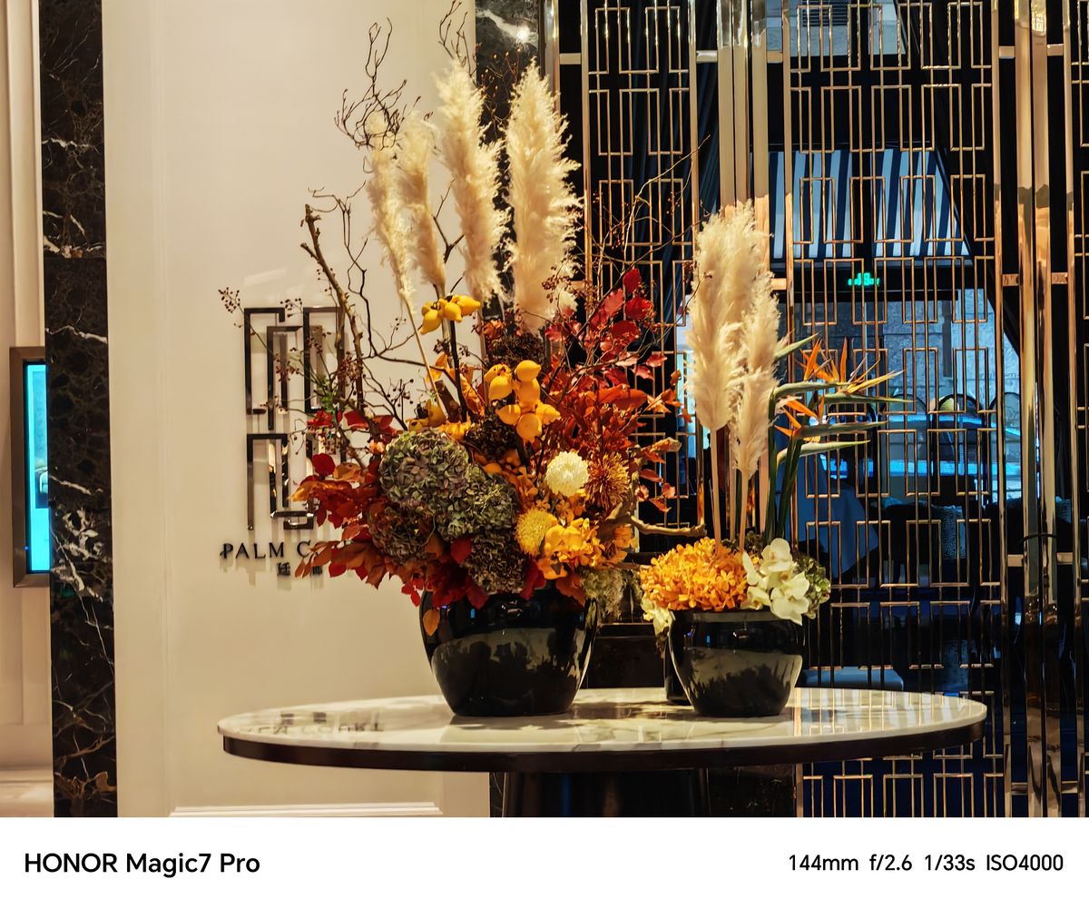 A photo captured on a Chinese Honor Magic 7 Pro