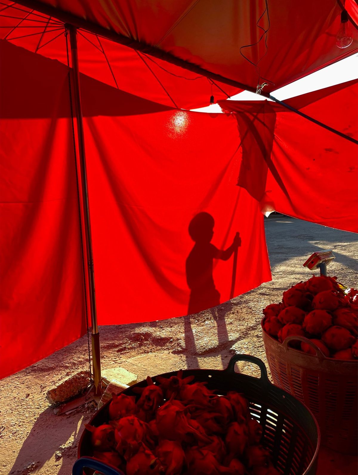 Apple Shotoniphone Joe Jirasak Panpiansilp