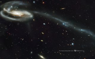 Tadpole Galaxy space wallpaper 