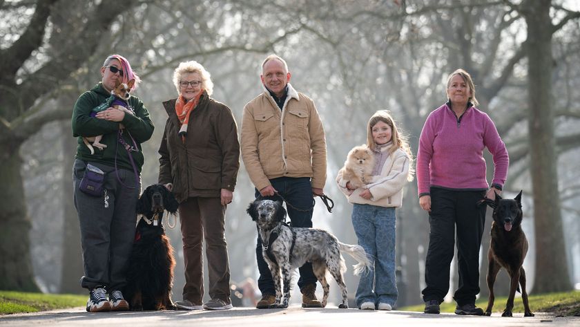 The five Kennel Club Hero Award finalists with their owners