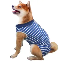 Dog Recovery Suit | Amazon.co.uk Dog Recovery Suit | Amazon.co.uk