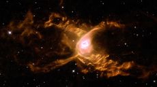 red spider nebula