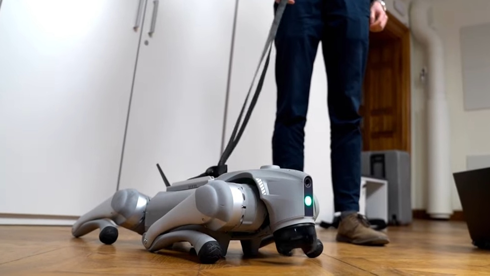 Meet Luna, the new AI robot dog who teaches itself using a digital nervous system and software ‘that allows any machine to learn like humans and animals do’