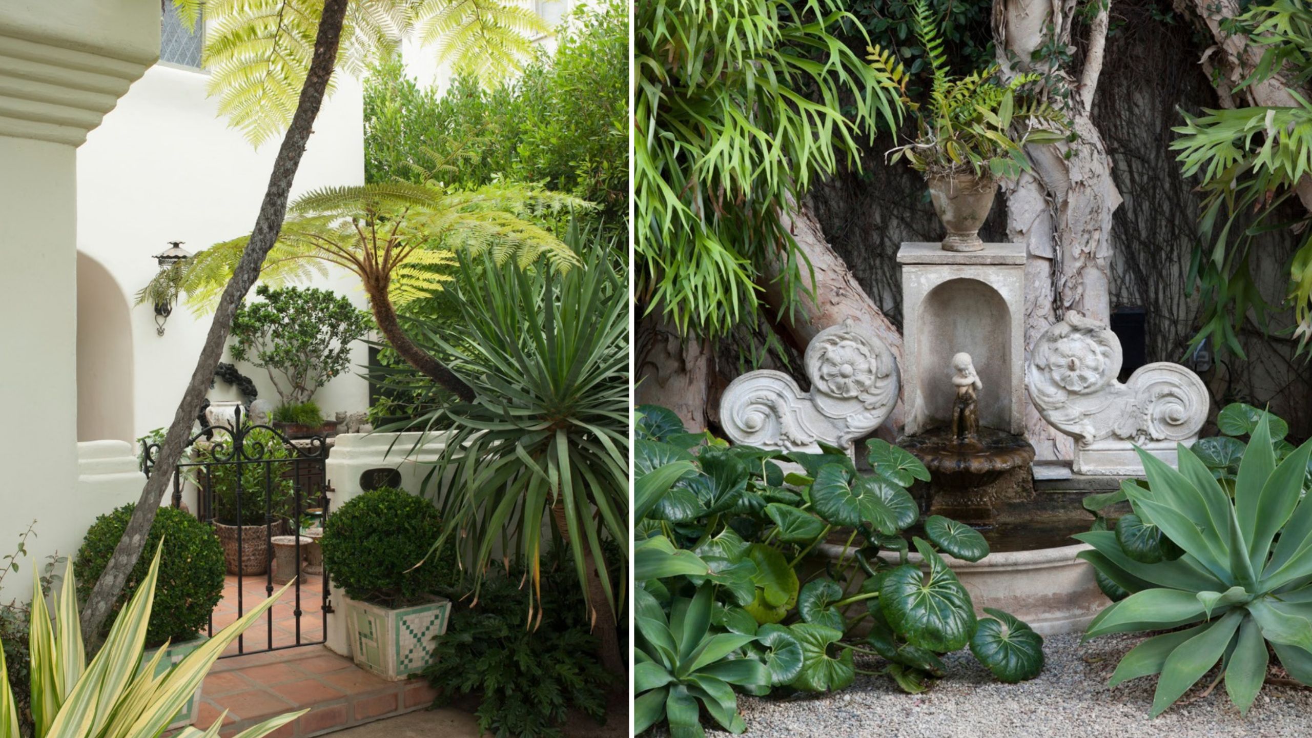 Stephen Block's garden