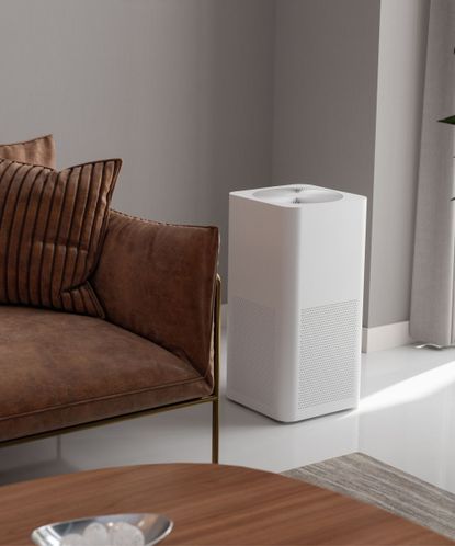 Are air purifiers worth it? Experts debate | Homes & Gardens