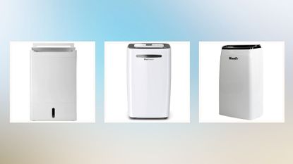 The Meaco, Pro Breeze and Woods dehumidifiers on a woman&amp;home background