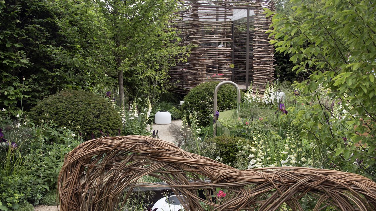 Midsummer Pruning Can Do More Harm Than Good – 5 Plants to Never Prune in July