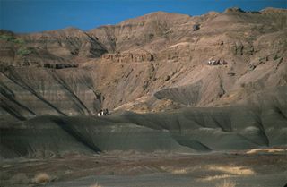 The "first family" excavation site in Hadar, Ethiopia, where the foot bone was discovered.