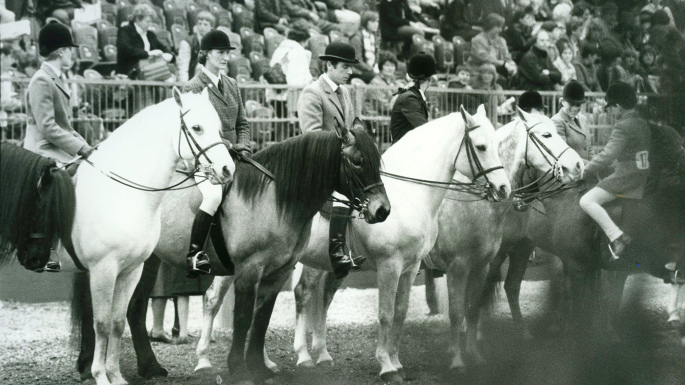 Olympia 1985