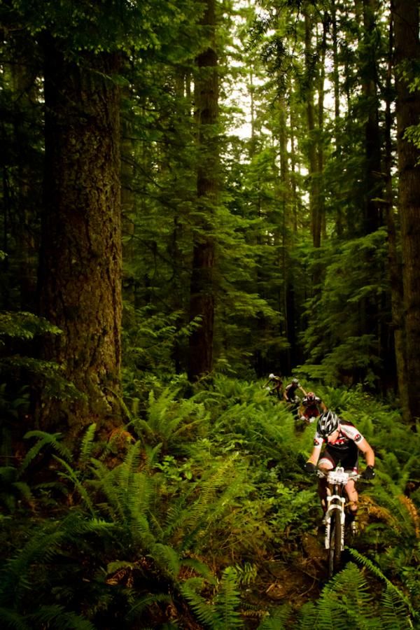 Chris Sheppard sets the pace through the ferns