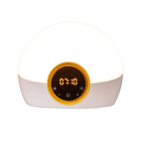 2. Lumie Bodyclock Rise 100: $99 + buy one get one half price at Lumie