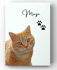 Personalised Pet Portrait, From £12.99, HeartShapedHomePrint on Etsy