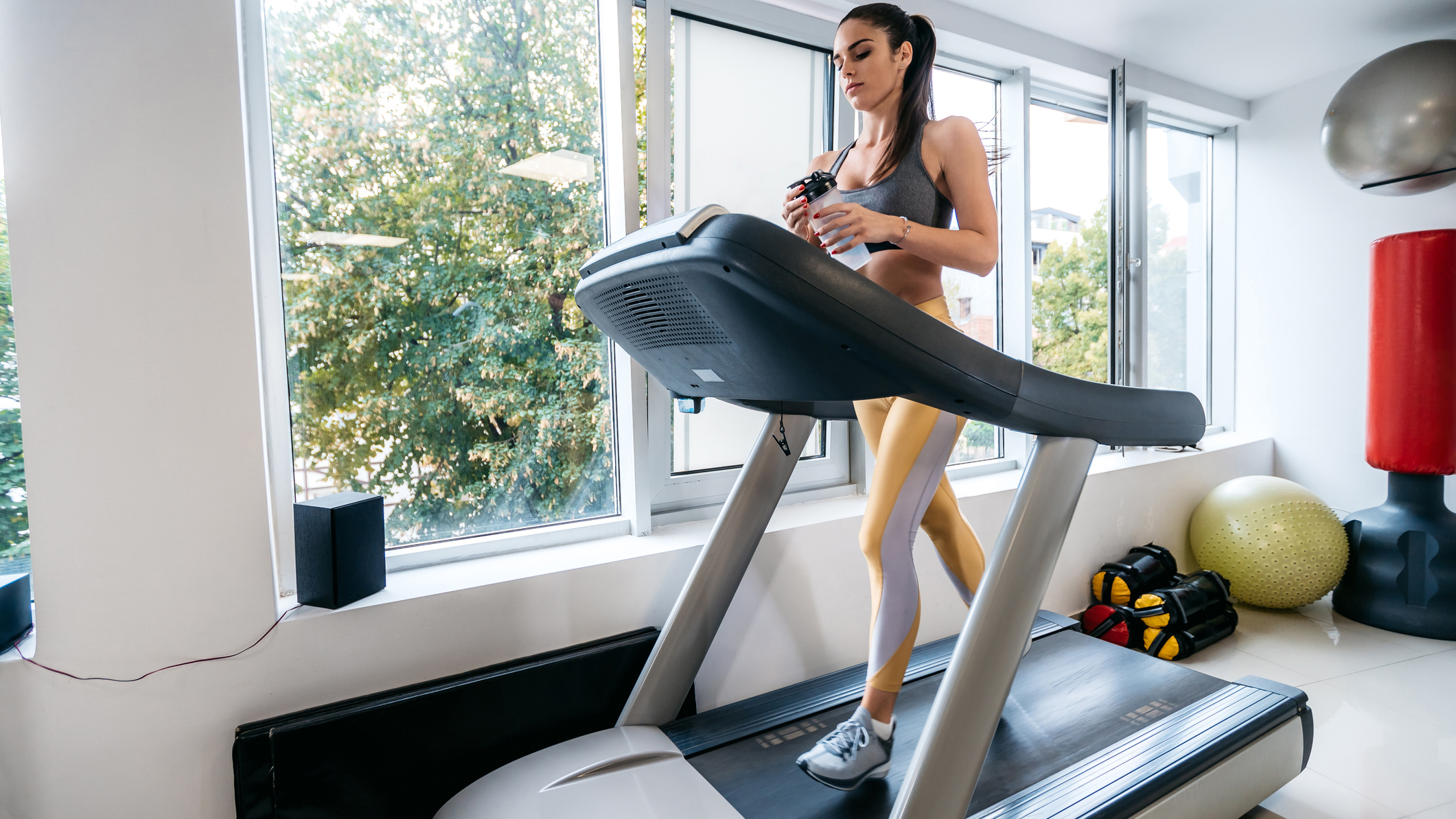 Best Treadmills Top Ten Reviews