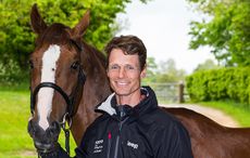 Chilli Morning conformation and William Fox Pitt Portraits portrait
