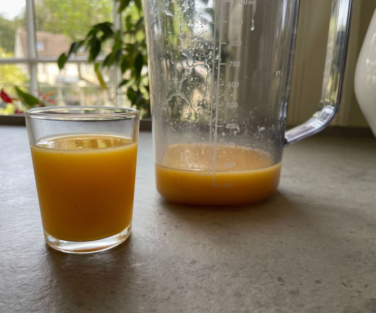 A glass of orange juice beside a glass jug on a grey kitchen counter. A window with a view of a lawn out of focus in the background.