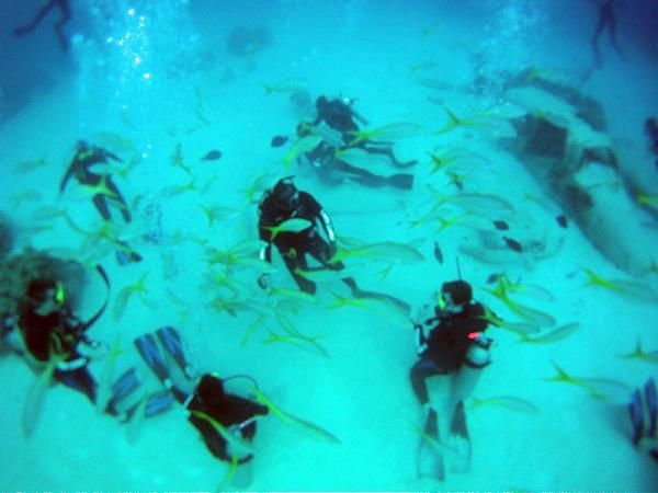 BMC-Hincapie Sportswear Development Team commune with nature in the Bahamas