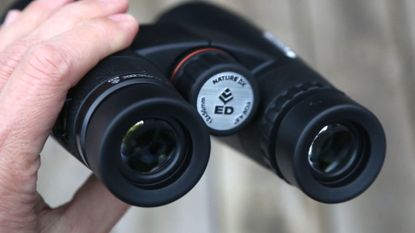 Best Binoculars 2024: Get A Closer Look | T3