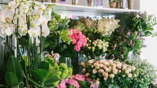 best flower delivery online: Floom