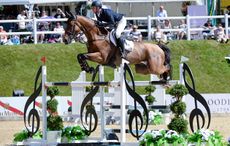 BALZAC_Bolesworth_PN17_54721.jpg