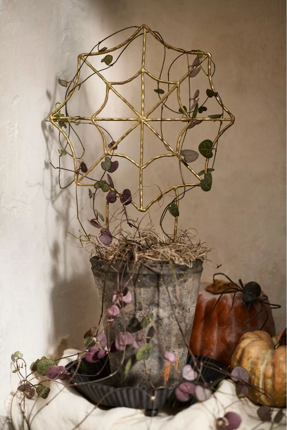 Brass spiderweb trellis in aged stone plant pot