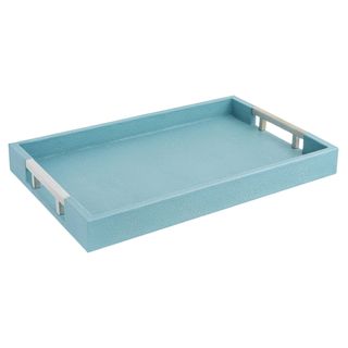 Baby blue serving tray with metal silver handles