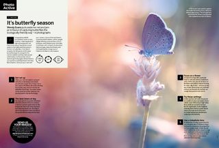 Photo project about shooting butterflies in the spring season, from issue 280 of Digital Camera magazine