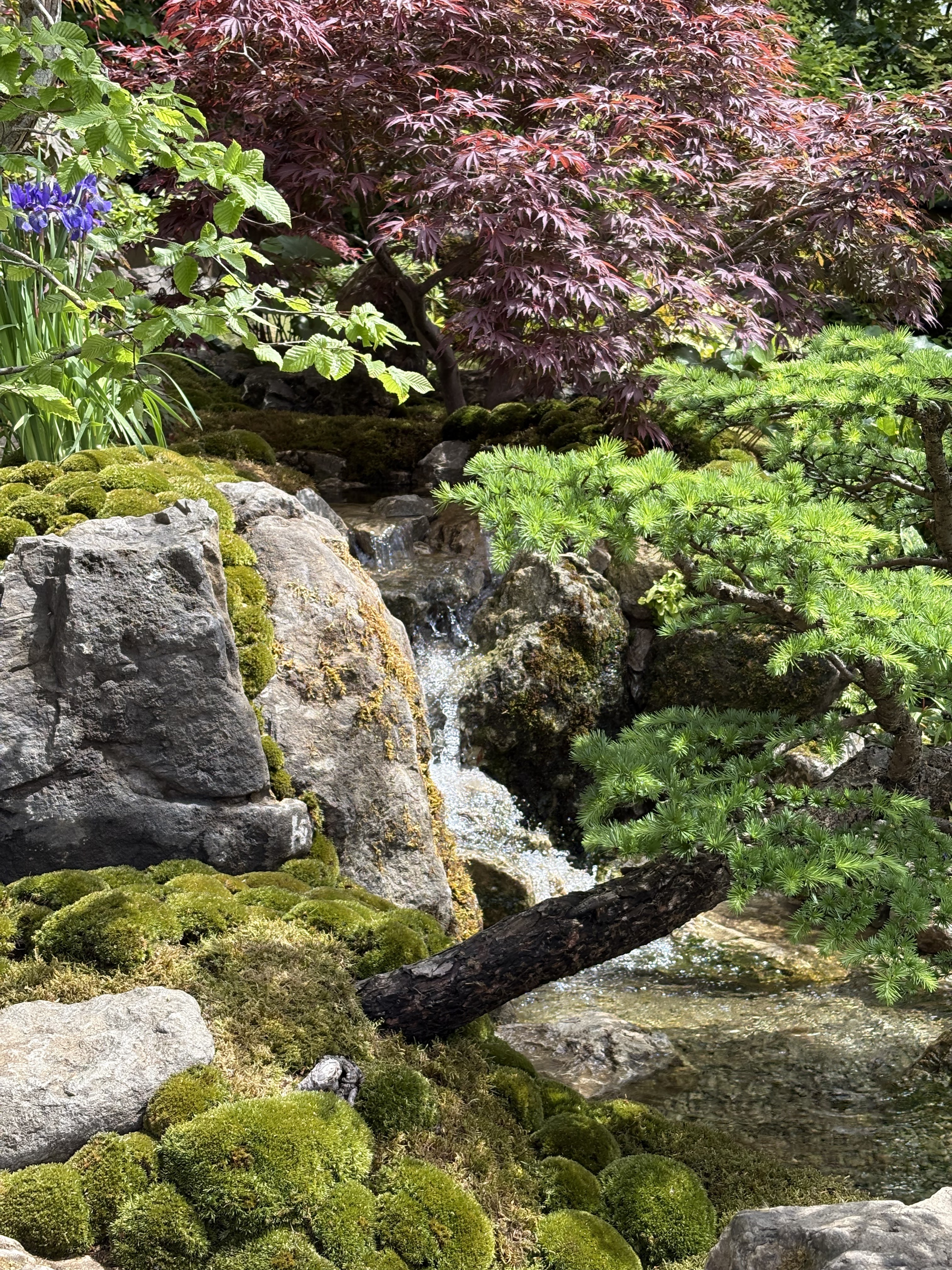 RHS Chelsea Flower Show 2025
