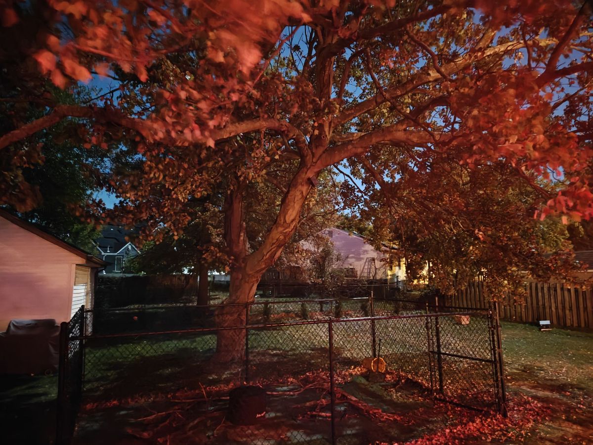 OnePlus 12 low light sample.