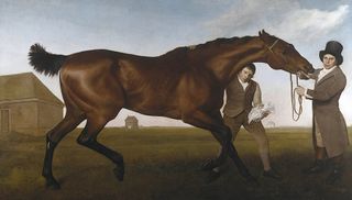 Hambletonian, Rubbing Down, 1799–1800, by George Stubbs (1724–1806), 6ft 10½in by 12ft ½in, National Trust, Mount Stewart, Co Down. ©National Trust Images/John Millar/Bridgeman