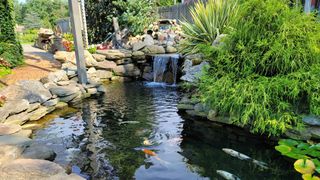 Best camera phone: Samsung Galaxy Note 20 Ultra