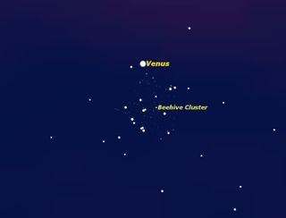 Venus and Beehive Cluster, July 2013