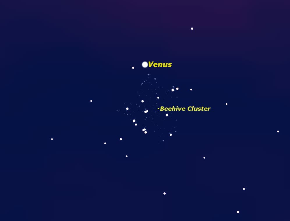 Venus and Beehive Cluster, July 2013